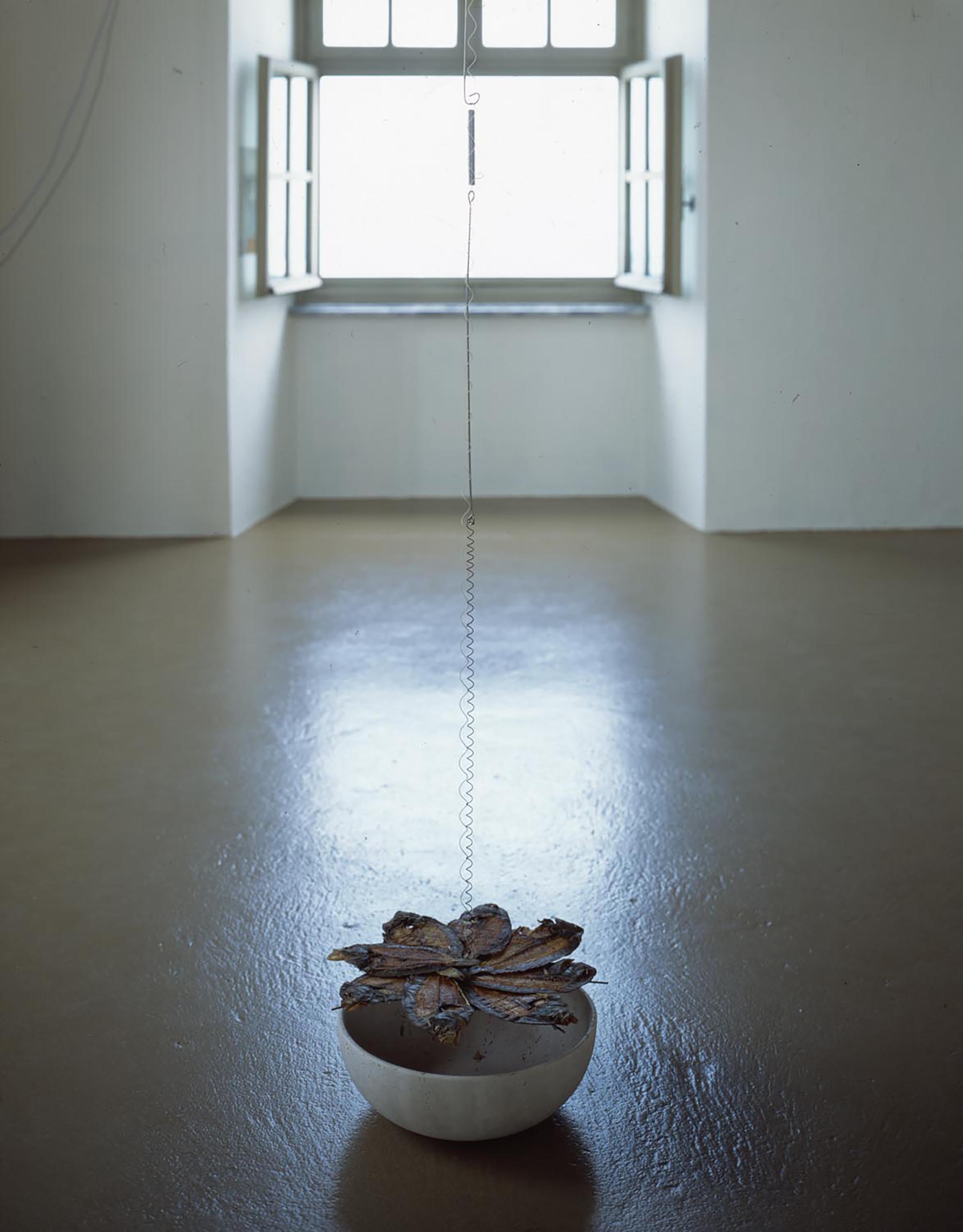 Bruna Esposito, Aureole, 1999 (detail)